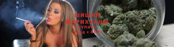 твердый Осинники